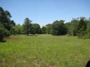 Undeveloped Land in Leon County, Texas