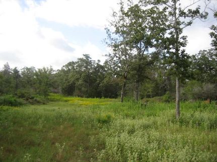 Farm and Ranch in Leon County, Texas