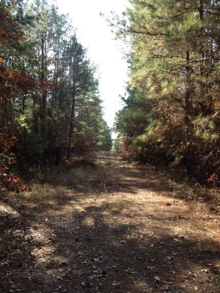 Farm and Ranch in Anderson County, Texas