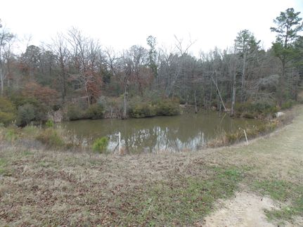 Undeveloped Land in Leon County, Texas