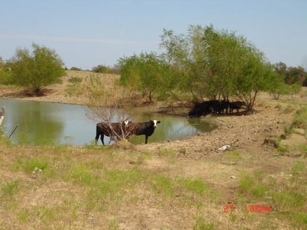 Farm and Ranch in Limestone County, Texas