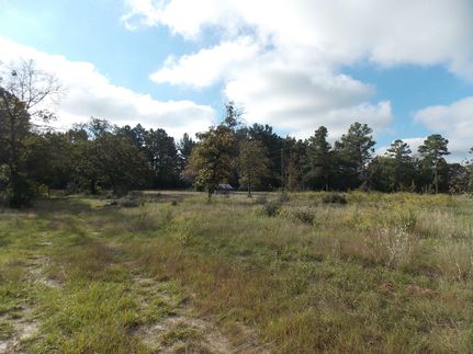 Undeveloped Land in Leon County, Texas