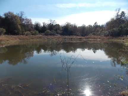 Farm and Ranch in Leon County, Texas