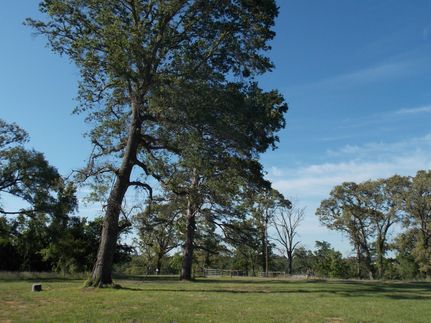 House in Leon County, Texas