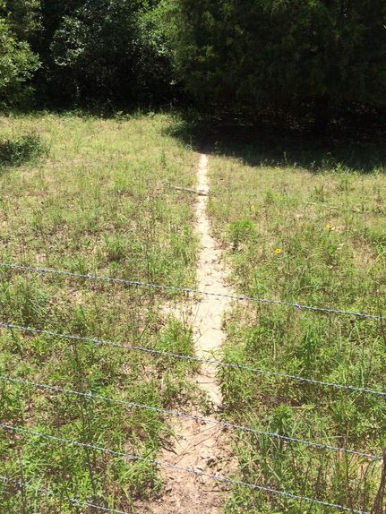 Farm and Ranch in Leon County, Texas