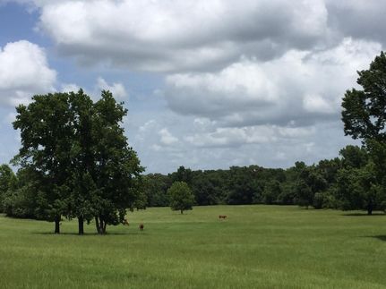 Land in Leon County, Texas