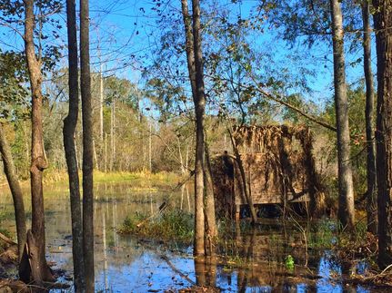 Farm and Ranch in Leon County, Texas