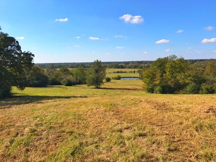 Timberland Property in Madison County, Texas