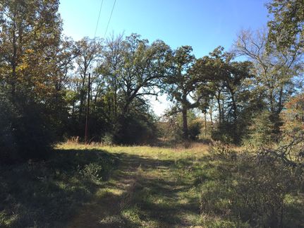 House in Leon County, Texas