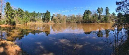 Recreational Property in Leon County, Texas