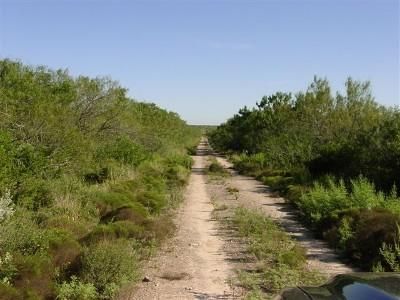 Land in Duval County, Texas