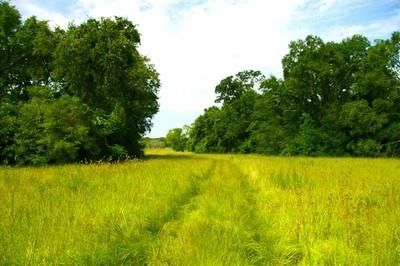 Land in Madison County, Texas