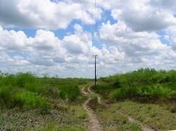 Land in McMullen County, Texas