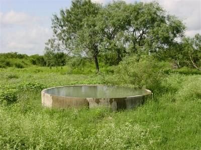 Land in Duval County, Texas