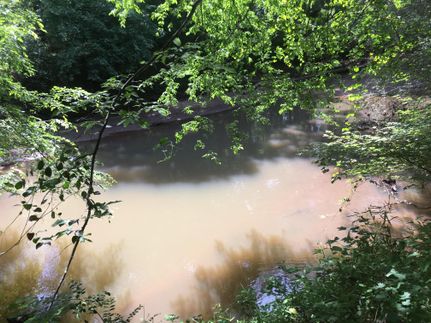 Undeveloped Land in Morgan County, Georgia