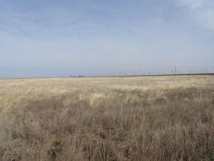 Undeveloped Land in Briscoe County, Texas