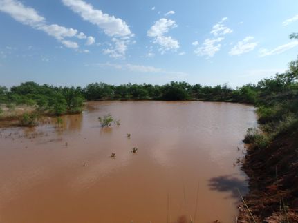 Farm and Ranch in Jones County, Texas