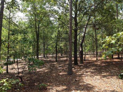 Land in Lee County, South Carolina