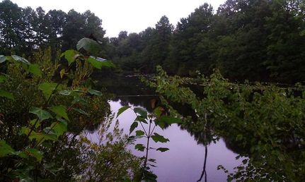 Land in Orangeburg County, South Carolina