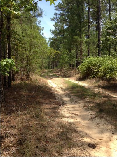 Land in Lee County, South Carolina