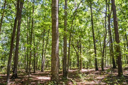 Recreational Property in Cherokee County, South Carolina