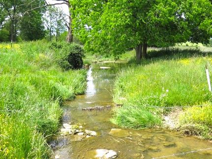 Land in Grayson County, Kentucky
