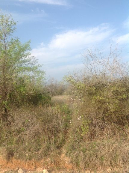Farm and Ranch in Comanche County, Texas