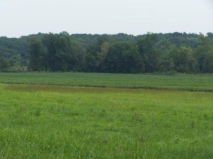 Farm and Ranch in Daviess County, Missouri