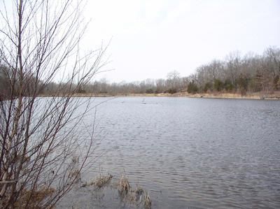 Farm and Ranch in Cedar County, Missouri
