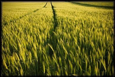 Land in Kingfisher County, Oklahoma