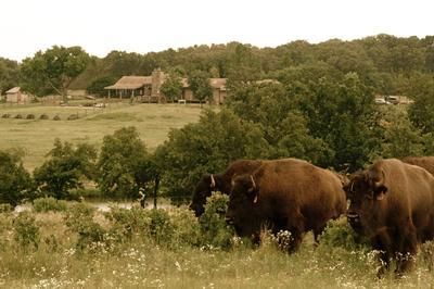 Farm and Ranch in Logan County, Oklahoma