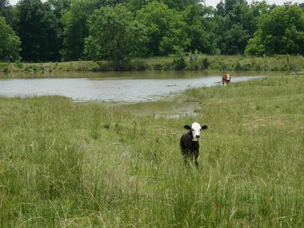 Farm and Ranch in Pontotoc County, Oklahoma