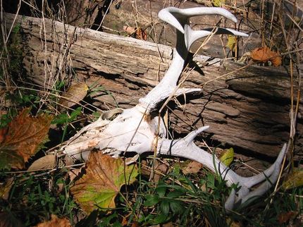 Recreational Property in Major County, Oklahoma