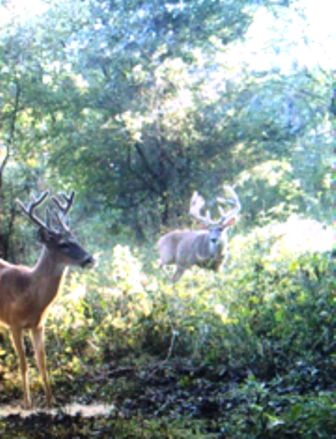 Land in Warren County, Mississippi