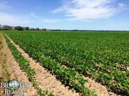 Farm and Ranch in Catahoula Parish, Louisiana