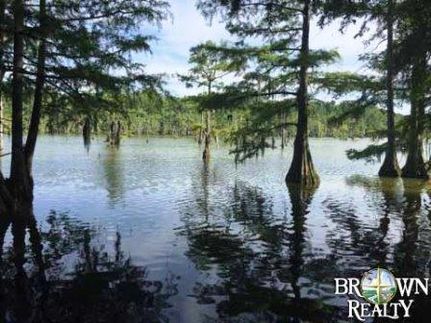 Farm and Ranch in Morehouse Parish, Louisiana