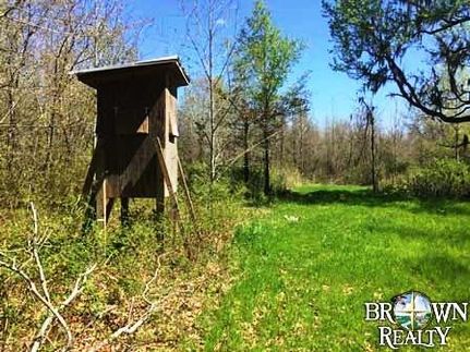 Farm and Ranch in Franklin Parish, Louisiana