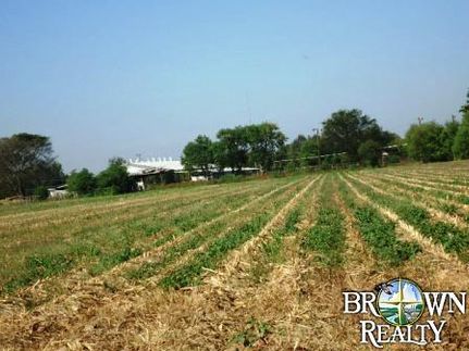 Farm and Ranch in Franklin Parish, Louisiana