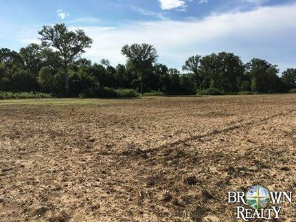 Farm and Ranch in West Carroll Parish, Louisiana