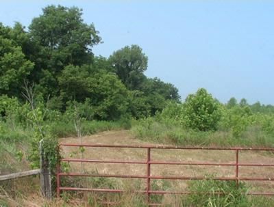 Land in Lafayette County, Arkansas