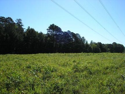 Land in Morehouse Parish, Louisiana