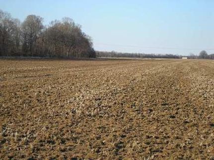 Farm and Ranch in Chicot County, Arkansas