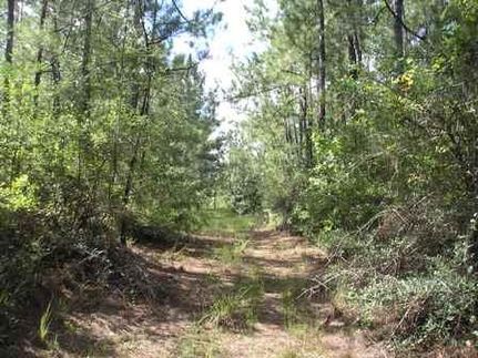 Farm and Ranch in Vernon Parish, Louisiana