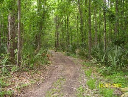 Farm and Ranch in Concordia Parish, Louisiana