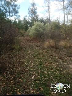 Land in Catahoula Parish, Louisiana