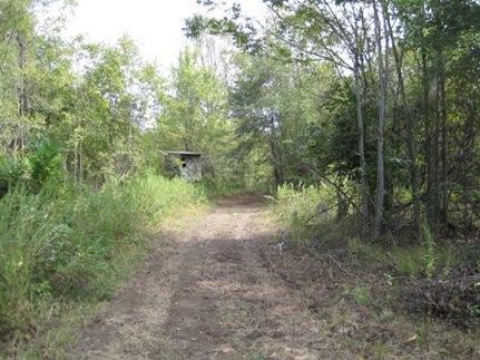 Waterfront Property in Catahoula Parish, Louisiana