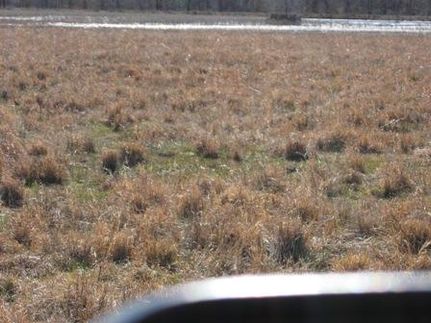 Lakefront Property in Caldwell Parish, Louisiana