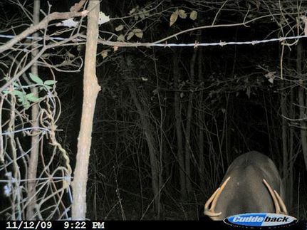 Land in Franklin Parish, Louisiana