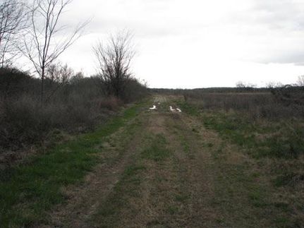 Farm and Ranch in West Carroll Parish, Louisiana