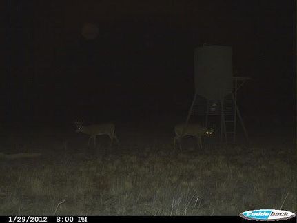 Farm and Ranch in Harper County, Kansas